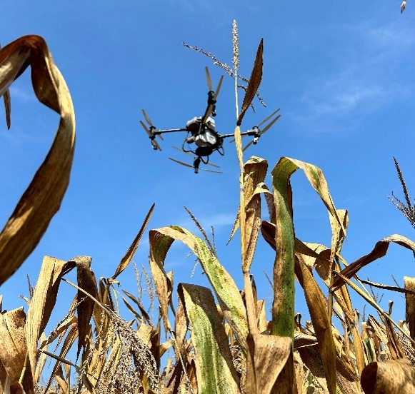 UAV interseeding_Madelyn Celovsky.jpg